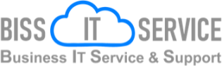 BISS UG (haftungsbeschränkt) IT-Dienstleistungen
